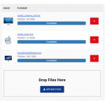 Customer File Upload