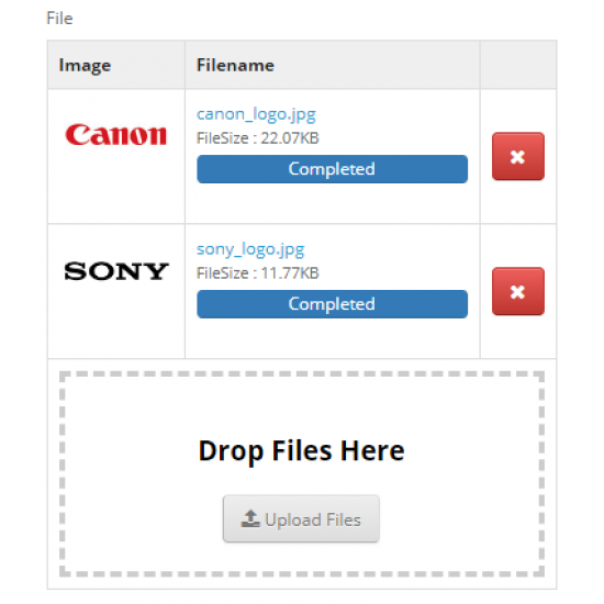 Customer File Upload Customer File Upload