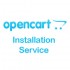 OpenCart Customization Service
